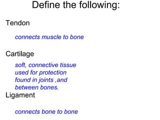 Define the following:
Tendon
Cartilage
Ligament
connects muscle to bone
soft, connective tissue
used for protection
found in joints ,and
between bones.
connects bone to bone
 