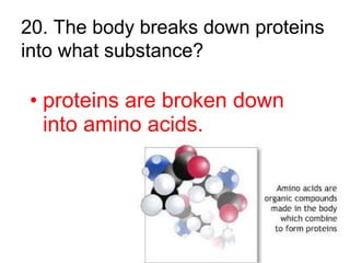 20. The body breaks down proteins
into what substance?
• proteins are broken down
into amino acids.
 