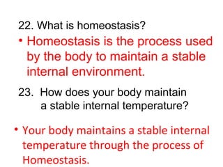 22. What is homeostasis?
23. How does your body maintain
a stable internal temperature?
• Homeostasis is the process used
by the body to maintain a stable
internal environment.
• Your body maintains a stable internal
temperature through the process of
Homeostasis.
 
