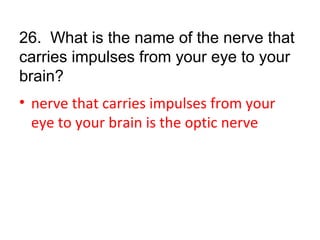 26. What is the name of the nerve that
carries impulses from your eye to your
brain?
• nerve that carries impulses from your
eye to your brain is the optic nerve
 