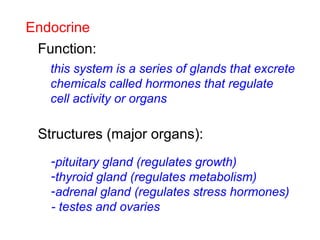 Endocrine
Function:
Structures (major organs):
this system is a series of glands that excrete
chemicals called hormones that regulate
cell activity or organs
-pituitary gland (regulates growth)
-thyroid gland (regulates metabolism)
-adrenal gland (regulates stress hormones)
- testes and ovaries
 