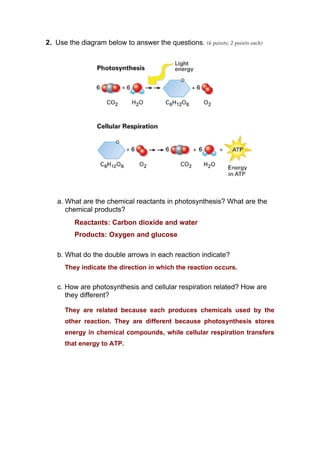 answer-key-quiz-no-1-3rd-mp-2010-pdf
