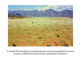 6. Identify this naturally occurring phenomenon causes by competition for scarce
resources. (1)(Not to be confused with supernatural mushrooms.)
 