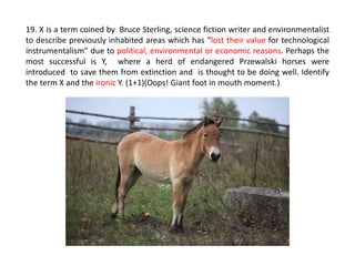 19. X is a term coined by Bruce Sterling, science fiction writer and environmentalist
to describe previously inhabited areas which has “lost their value for technological
instrumentalism” due to political, environmental or economic reasons. Perhaps the
most successful is Y, where a herd of endangered Przewalski horses were
introduced to save them from extinction and is thought to be doing well. Identify
the term X and the ironic Y. (1+1)(Oops! Giant foot in mouth moment.)
 