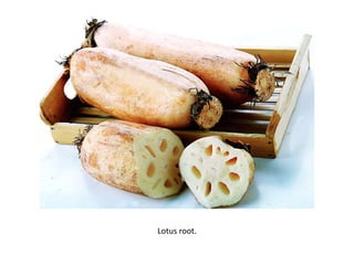 Lotus root.
 