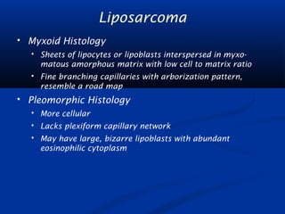 Liposarcoma 
 Myxoid Histology 
 Sheets of lipocytes or lipoblasts interspersed in myxo-matous 
amorphous matrix with low cell to matrix ratio 
 Fine branching capillaries with arborization pattern, 
resemble a road map 
 Pleomorphic Histology 
 More cellular 
 Lacks plexiform capillary network 
 May have large, bizarre lipoblasts with abundant 
eosinophilic cytoplasm 
 