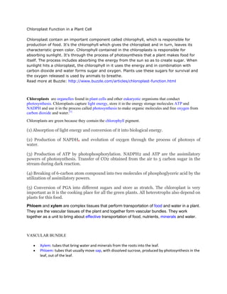 Chloroplast Function in a Plant Cell

Chloroplast contain an important component called chlorophyll, which is responsible for
production of food. It's the chlorophyll which gives the chloroplast and in turn, leaves its
characteristic green color. Chlorophyll contained in the chloroplasts is responsible for
absorbing sunlight. It's through the process of photosynthesis that a plant makes food for
itself. The process includes absorbing the energy from the sun so as to create sugar. When
sunlight hits a chloroplast, the chlorophyll in it uses the energy and in combination with
carbon dioxide and water forms sugar and oxygen. Plants use these sugars for survival and
the oxygen released is used by animals to breathe.
Read more at Buzzle: http://www.buzzle.com/articles/chloroplast-function.html



Chloroplasts are organelles found in plant cells and other eukaryotic organisms that conduct
photosynthesis. Chloroplasts capture light energy, store it in the energy storage molecules ATP and
NADPH and use it in the process called photosynthesis to make organic molecules and free oxygen from
carbon dioxide and water.[1]
Chloroplasts are green because they contain the chlorophyll pigment.

(1) Absorption of light energy and conversion of it into biological energy.

(2) Production of NAPDH2 and evolution of oxygen through the process of photosys of
water.

(3) Production of ATP by photophosphorylation. NADPH2 and ATP are the assimilatory
powers of photosynthesis. Transfer of CO2 obtained from the air to 5 carbon sugar in the
stream during dark reaction.

(4) Breaking of 6-carbon atom compound into two molecules of phosphoglyceric acid by the
utilization of assimilatory powers.

(5) Conversion of PGA into different sugars and store as stratch. The chloroplast is very
important as it is the cooking place for all the green plants. All heterotrophs also depend on
plasts for this food.
Phloem and xylem are complex tissues that perform transportation of food and water in a plant.
They are the vascular tissues of the plant and together form vascular bundles. They work
together as a unit to bring about effective transportation of food, nutrients, minerals and water.



VASCULAR BUNDLE

        Xylem: tubes that bring water and minerals from the roots into the leaf.
        Phloem: tubes that usually move sap, with dissolved sucrose, produced by photosynthesis in the
        leaf, out of the leaf.
 