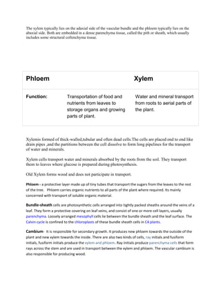 The xylem typically lies on the adaxial side of the vascular bundle and the phloem typically lies on the
abaxial side. Both are embedded in a dense parenchyma tissue, called the pith or sheath, which usually
includes some structural collenchyma tissue.




Phloem                                                              Xylem

Function:                 Transportation of food and                 Water and mineral transport
                          nutrients from leaves to                   from roots to aerial parts of
                          storage organs and growing                 the plant.
                          parts of plant.



Xylemis formed of thick-walled,tubular and often dead cells.The cells are placed end to end like
drain pipes ,and the partitions between the cell dissolve to form long pipelines for the transport
of water and minerals.

Xylem cells transport water and minerals absorbed by the roots from the soil. They transport
them to leaves where glucose is prepared during photosynthesis.

Old Xylem forms wood and does not participate in transport.

Phloem - a protective layer made up of tiny tubes that transport the sugars from the leaves to the rest
of the tree. Phloem carries organic nutrients to all parts of the plant where required. Its mainly
concerned with transport of soluble organic material.

Bundle-sheath cells are photosynthetic cells arranged into tightly packed sheaths around the veins of a
leaf. They form a protective covering on leaf veins, and consist of one or more cell layers, usually
parenchyma. Loosely arranged mesophyll cells lie between the bundle sheath and the leaf surface. The
Calvin cycle is confined to the chloroplasts of these bundle sheath cells in C4 plants.

Cambium- It is responsible for secondary growth. It produces new phloem towards the outside of the
plant and new xylem towards the inside. There are also two kinds of cells, ray initials and fusiform
initials, fusiform initials produce the xylem and phloem. Ray initials produce parenchyma cells that form
rays across the stem and are used in transport between the xylem and phloem. The vascular cambium is
also responsible for producing wood.
 
