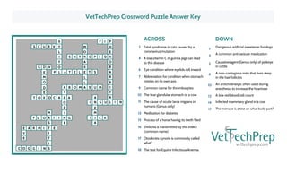 VetTechPrep Crossword Puzzle Answer Key
ACROSS
2
4
6
7
9
10
11
13
15
16
17
18
1
3
5
8
10
12
14
17
3
6
5
9
10
15
14
11
18
17
13
1
12
4
16
2
87
Fatal syndrome in cats caused by a
coronavirus mutation
A low vitamin C in guinea pigs can lead
to this disease
Eye condition where eyelids roll inward
Abbreviation for condition when stomach
rotates on its own axis
Common name for thrombocytes
The true glandular stomach of a cow
The cause of ocular larva migrans in
humans (Genus only)
Medication for diabetes
Process of a horse having its teeth filed
Ehrlichia is transmitted by this insect
(common name)
Otodectes cynotis is commonly called
what?
The test for Equine Infectious Anemia
DOWN
Dangerous artificial sweetener for dogs
A common anti-seizure medication
Causative agent (Genus only) of pinkeye
in cattle
A non-contagious mite that lives deep
in the hair follicles
An anticholinergic often used during
anesthesia to increase the heartrate
A low red blood cell count
Infected mammary gland in a cow
The menace is a test on what body part?
S C U R V Y
L
I
T
O
L A T E L E
L
L
A MSMOBA
T
R AACOX
E
D
O
M
E
D VG
OT
O
P
I
N GITA
M
S
T EIMRAE
Y
E
I
T
I
SNIGGOC
OLF
E
U
X
A
R O P I O N
O
B
A
R
B
I
T
A
L NIUSN
E
M
IT C K
A
A
I
E
H
PF I
E N T
O
M
T SP
X
 