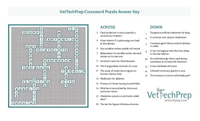 Vet Tech February 2016 Crossword Puzzle Answers
