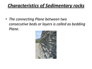 Characteristics of Sedimentary rocks
• The connecting Plane between two
consecutive beds or layers is called as bedding
Plane.
 