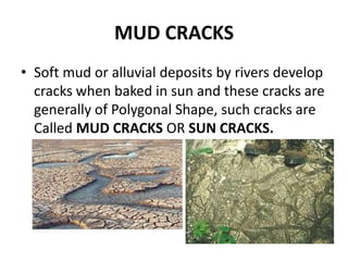 MUD CRACKS
• Soft mud or alluvial deposits by rivers develop
cracks when baked in sun and these cracks are
generally of Polygonal Shape, such cracks are
Called MUD CRACKS OR SUN CRACKS.
 