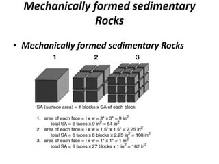 Mechanically formed sedimentary
Rocks
• Mechanically formed sedimentary Rocks
 