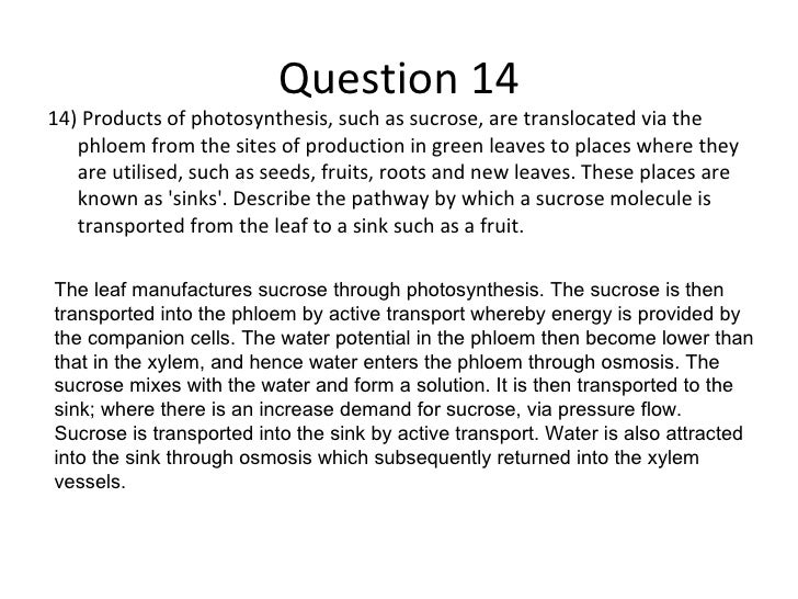 Answers to biology exercise Answers to biology exercise