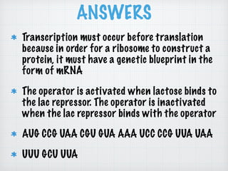 ANSWERS 
Transcription must occur before translation 
because in order for a ribosome to construct a 
protein, it must have a genetic blueprint in the 
form of mRNA 
The operator is activated when lactose binds to 
the lac repressor. The operator is inactivated 
when the lac repressor binds with the operator 
AUG CCG UAA CGU GUA AAA UCC CCG UUA UAA 
UUU GCU UUA 
