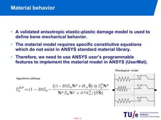 Material behavior 
• A validated anisotropic elastic-plastic damage model is used to 
define bone mechanical behavior. 
• The material model requires specific constitutive equations 
which do not exist in ANSYS standard material library. 
• Therefore, we need to use ANSYS user’s programmable 
features to implement the material model in ANSYS (UserMat). 
PAGE 10 
Rheological model 
Algorithmic stiffness 
 