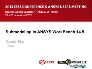 Submodeling in ANSYS WorkBench 14.5
Roberto Silva
ESSS
 