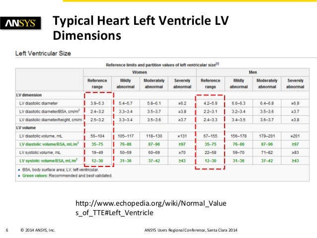 Simulations of Hypertrophic Obstructive Cardiomyopathy (HOCM) in a Hu…