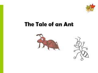 The Tale of an Ant 