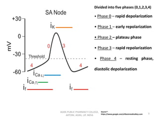 AGRA PUBLIC PHARMACY COLLEGE,
ARTONI, AGRA, UP, INDIA
3
Divided into five phases (0,1,2,3,4)
• Phase 0 – rapid depolarization
• Phase 1 – early repolarization
• Phase 2 – plateau phase
• Phase 3 – rapid repolarization
• Phase 4 – resting phase,
diastolic depolarization
Source*-
https://www.google.com/uFbasicmedicalkey.com
 