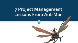 7 Project Management
Lessons From Ant-Man
 