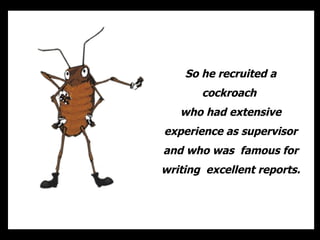 So he recruited a cockroach  who had extensive experience as supervisor and who was  famous for writing  excellent reports. 