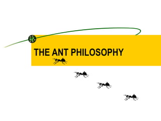 THE ANT PHILOSOPHY 