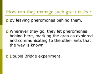 How can they manage such great tasks ?
 By leaving pheromones behind them.
 Wherever they go, they let pheromones
behind here, marking the area as explored
and communicating to the other ants that
the way is known.
 Double Bridge experiment
 