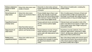 Comprehensive Gross Anatomy of the Human Hand and Limb Structures | PPTX