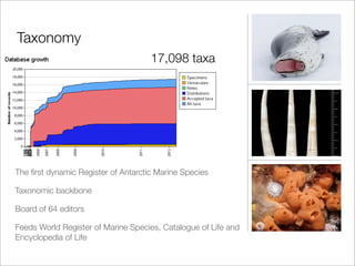 Taxonomy
                                     17,098 taxa




The ﬁrst dynamic Register of Antarctic Marine Species

Taxonomic backbone

Board of 64 editors

Feeds World Register of Marine Species, Catalogue of Life and
Encyclopedia of Life
 