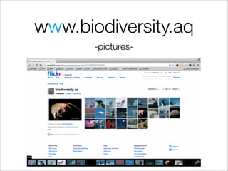 www.biodiversity.aq
       -pictures-
 