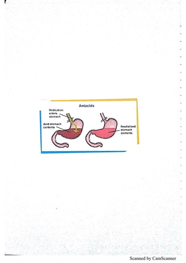 ANTACIDS Chemistry Investigatory Project Class 12 CBSE PDF