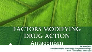 Factors Modifying
Drug Action
Antagonism Raj Mendpara
Pharmacology & Toxicology of Ayurvedic Drugs
ITRA – Pharmacy, Jamnagar
 