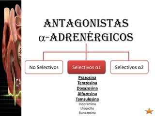 antagonistas
-adrenérgicos
No Selectivos Selectivos α1 Selectivos α2
Prazosina
Terazosina
Doxazosina
Alfuzosina
Tamsulosina
Indoramina
Urapidilo
Bunazosina
 