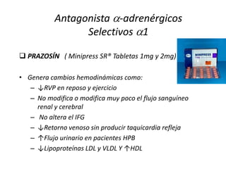  PRAZOSÍN ( Minipress SR® Tabletas 1mg y 2mg)
• Genera cambios hemodinámicas como:
– ↓RVP en reposo y ejercicio
– No modifica o modifica muy poco el flujo sanguíneo
renal y cerebral
– No altera el IFG
– ↓Retorno venoso sin producir taquicardia refleja
– ↑Flujo urinario en pacientes HPB
– ↓Lipoproteínas LDL y VLDL Y ↑HDL
Antagonista -adrenérgicos
Selectivos 1
 