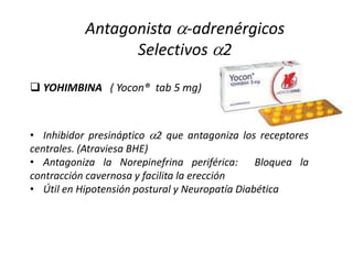  YOHIMBINA ( Yocon® tab 5 mg)
• Inhibidor presináptico 2 que antagoniza los receptores
centrales. (Atraviesa BHE)
• Antagoniza la Norepinefrina periférica: Bloquea la
contracción cavernosa y facilita la erección
• Útil en Hipotensión postural y Neuropatía Diabética
Antagonista -adrenérgicos
Selectivos 2
 