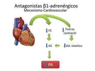 Antagonistas β1-adrenérgicos
Mecanismo Cardiovascular
FC
Vol. sistolicoGC
PA
Fuerza
contractil
 