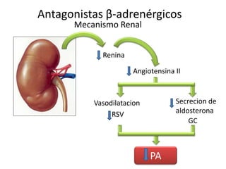 Antagonistas β-adrenérgicos
Mecanismo Renal
Renina
Angiotensina II
Vasodilatacion Secrecion de
aldosteronaRSV
GC
PA
 