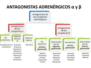 Antagonistas de
los receptores
adrenérgicos
Antagonistas
de los
receptores α
No
selectivos
Selectivi
dad por
α1
Selectivi
dad α2
Antagonistas
de los
receptores β
No
selectivos
primera
generación
Selectividad
por β1
segunda
generación
No selectivo
tercera
generación
Selectividad
por β1
tercera
generación
ANTAGONISTAS ADRENÉRGICOS α y β
Fenoxibenzamina
Fentolamina
Prazosina
Terazosina
Doxazosina
Alfuzosina
Tamsulosina
Indoramina
Urapidilo
Bunazosina
Yohimbina
Nadolol
Penbutolol
Pindolol
Propranolol
Timolol
Acebutolol
Atenolol
Bisoprolol
Esmolol
Metoprolol
Carteolol
Carvedilol
Bucindolol
Labetalol
Betaxolol
Celiprolol
Nebvilol
 