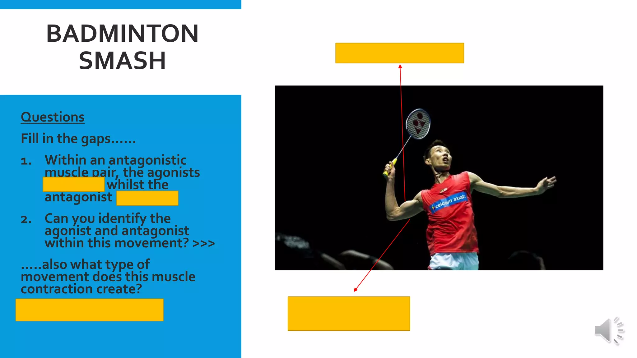 GCSE PE Revision Antagonistic muscle pairs PPT