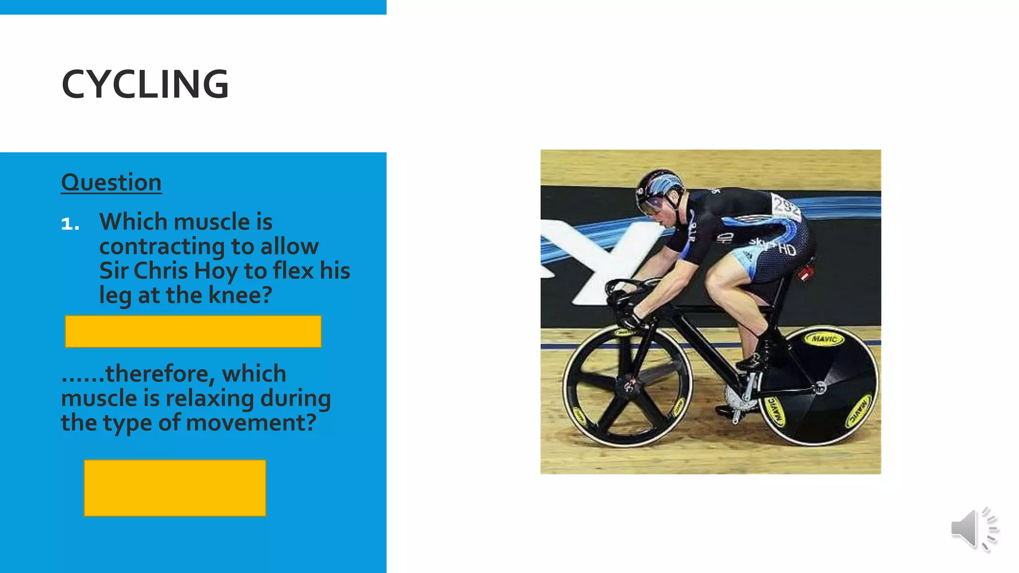 GCSE PE Revision Antagonistic muscle pairs PPT