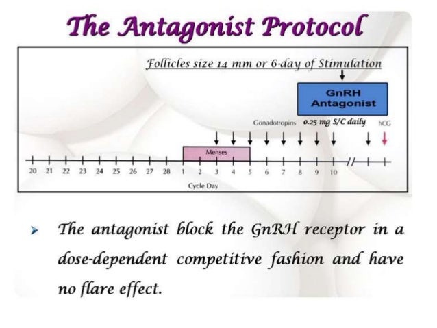 Antagonist or agonist Antagonist or agonist