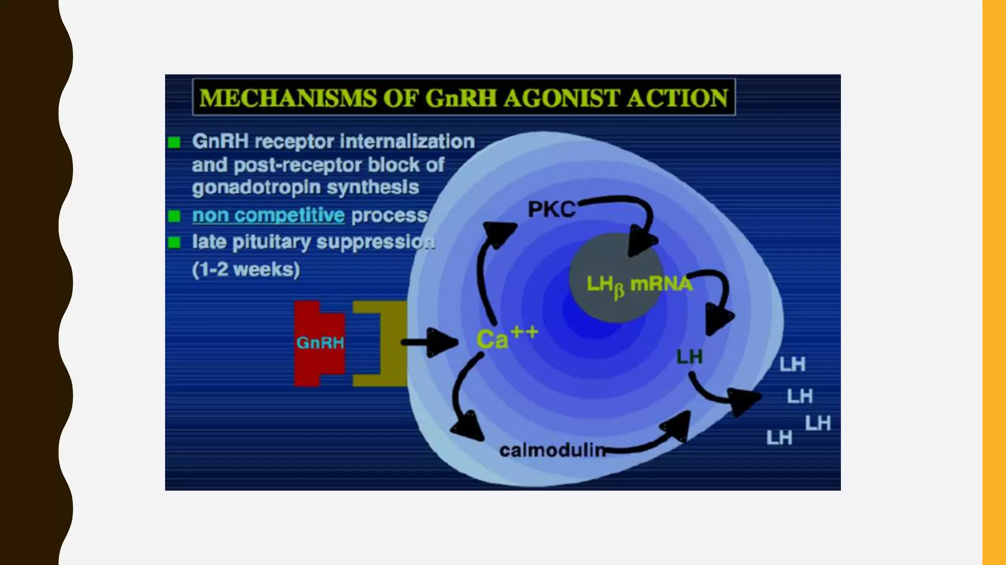 GnRH Agonist Versus GnRH Antagonist | PPTX