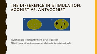 GnRH Agonist Versus GnRH Antagonist | PPTX