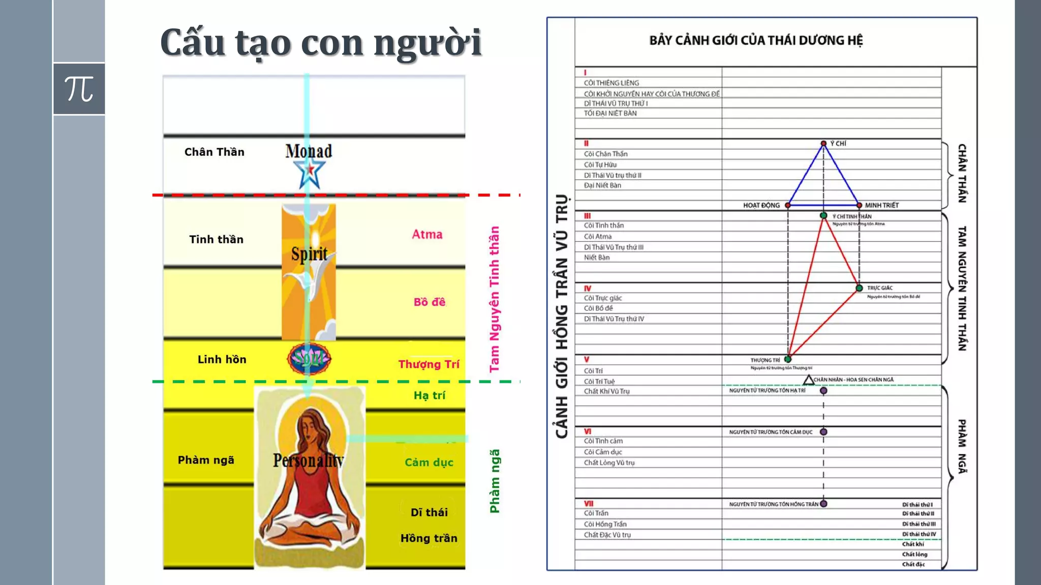 11
Cấu tạo con người
 