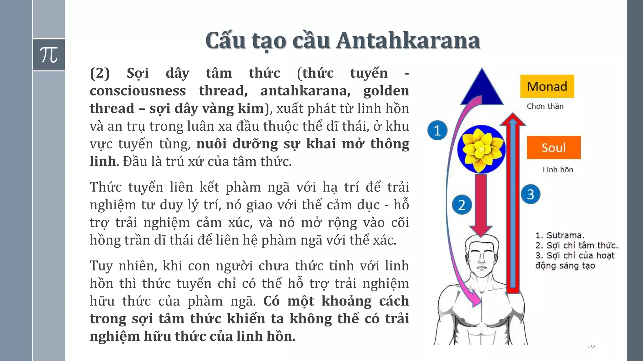 18
Cấu tạo cầu Antahkarana
(2) Sợi dây tâm thức (thức tuyến -
consciousness thread, antahkarana, golden
thread – sợi dây vàng kim), xuất phát từ linh hồn
và an trụ trong luân xa đầu thuộc thể dĩ thái, ở khu
vực tuyến tùng, nuôi dưỡng sự khai mở thông
linh. Đầu là trú xứ của tâm thức.
Thức tuyến liên kết phàm ngã với hạ trí để trải
nghiệm tư duy lý trí, nó giao với thể cảm dục - hỗ
trợ trải nghiệm cảm xúc, và nó mở rộng vào cõi
hồng trần dĩ thái để liên hệ phàm ngã với thể xác.
Tuy nhiên, khi con người chưa thức tỉnh với linh
hồn thì thức tuyến chỉ có thể hỗ trợ trải nghiệm
hữu thức của phàm ngã. Có một khoảng cách
trong sợi tâm thức khiến ta không thể có trải
nghiệm hữu thức của linh hồn.
 
