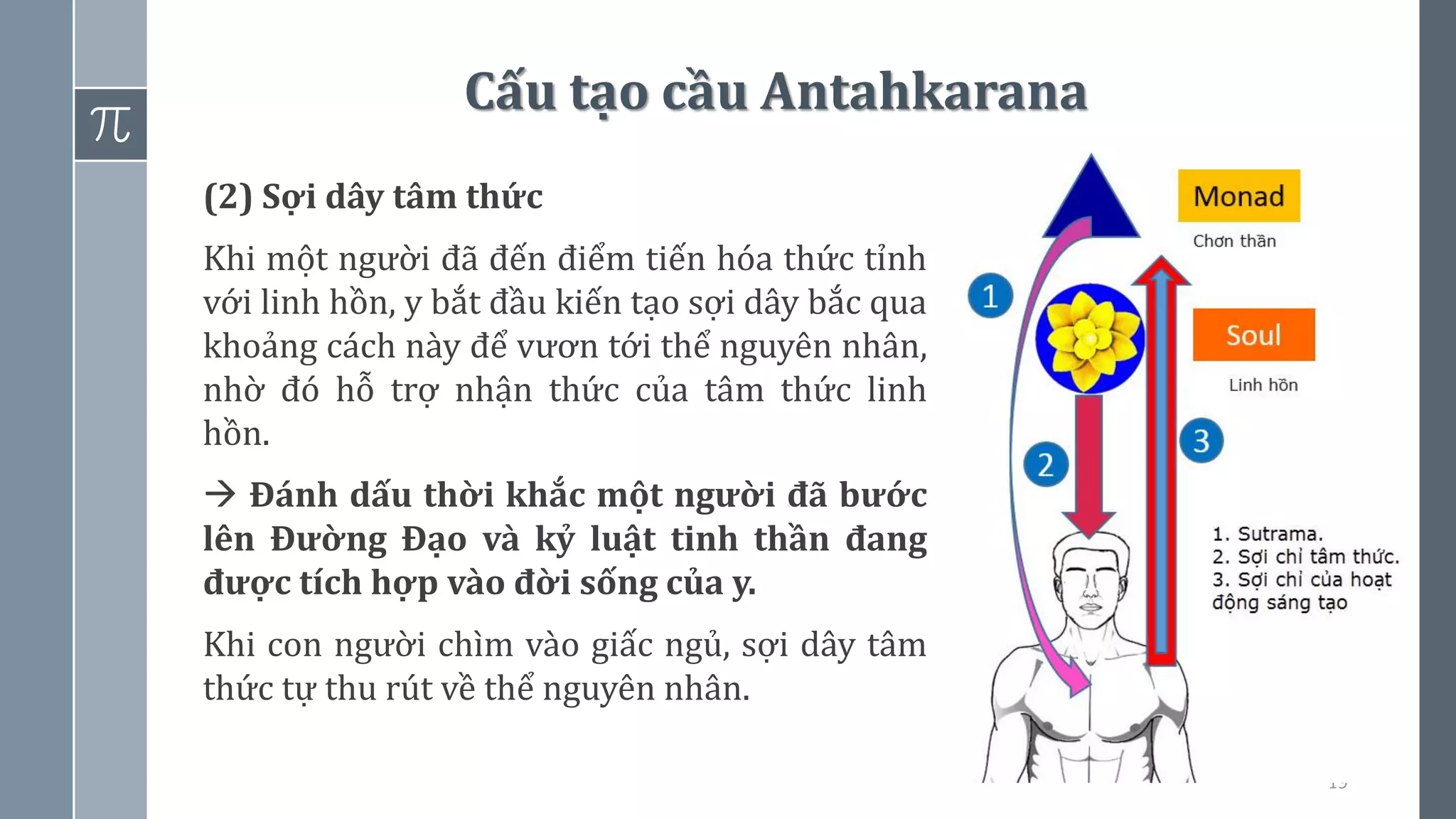 19
Cấu tạo cầu Antahkarana
(2) Sợi dây tâm thức
Khi một người đã đến điểm tiến hóa thức tỉnh
với linh hồn, y bắt đầu kiến tạo sợi dây bắc qua
khoảng cách này để vươn tới thể nguyên nhân,
nhờ đó hỗ trợ nhận thức của tâm thức linh
hồn.
→ Đánh dấu thời khắc một người đã bước
lên Đường Đạo và kỷ luật tinh thần đang
được tích hợp vào đời sống của y.
Khi con người chìm vào giấc ngủ, sợi dây tâm
thức tự thu rút về thể nguyên nhân.
 