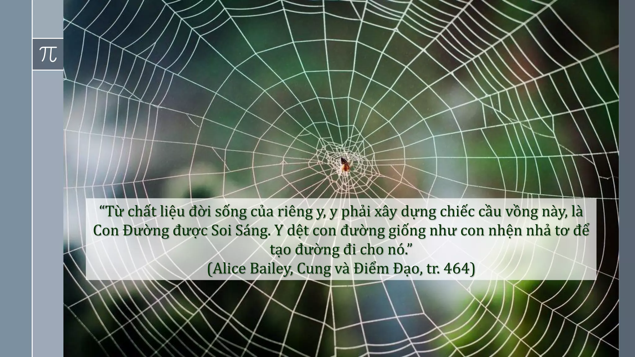 5
“Từ chất liệu đời sống của riêng y, y phải xây dựng chiếc cầu vồng này, là
Con Đường được Soi Sáng. Y dệt con đường giống như con nhện nhả tơ để
tạo đường đi cho nó.”
(Alice Bailey, Cung và Điểm Đạo, tr. 464)
 