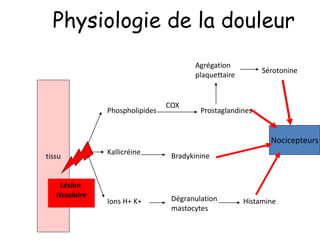 Physiologie de la douleur
Nocicepteurs
tissu
Lésion
tissulaire
Phospholipides
COX
Prostaglandines
Kallicréine
Bradykinine
Ions H+ K+ Dégranulation
mastocytes
Histamine
Agrégation
plaquettaire
Sérotonine
 