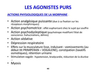 43
LES AGONISTES PURS
ACTIONS PHYSIOLOGIQUES DE LA MORPHINE :
• Action analgésique puissante (due à sa fixation sur les
récepteurs morphiniques)
• Action psychomotrice : effet euphorisant chez le sujet qui souffre
• Action psychodysleptique (psychotrope modifiant l’état de
conscience :hallucinations, délires)
• Action sédative
• Dépression respiratoire
• Effets sur la musculature lisse, induisant : vomissements (au
début ttt PRIMPERAN – VOGALENE), constipation (laxatifs
osmotiques), rétention urinaire
• Stimulation vagale : hypotension, bradycardie, réduction de la diurèse
…
• Myosis
 
